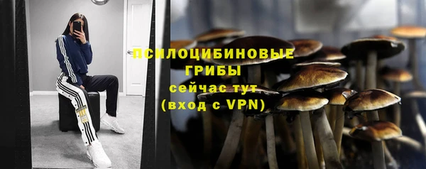 СК Баксан