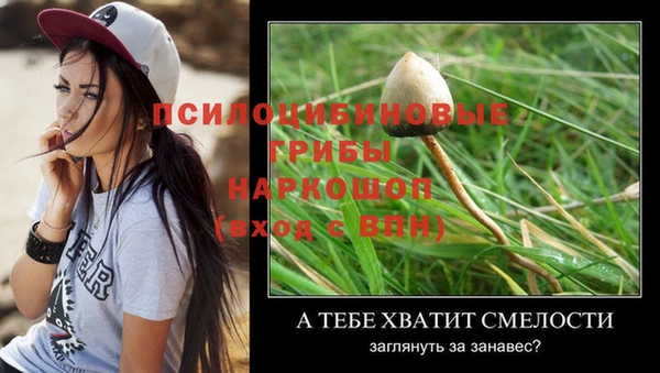 дживик Беломорск